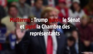 Midterms : Trump garde le Sénat et perd la Chambre des représentants