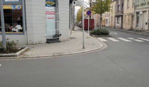 Quand Une Biche Vient Jouer Avec Le Chien Dans Le Jardin Sur