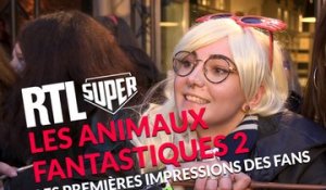 "Les Animaux Fantastiques 2" : les premières impressions des fans