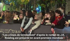 Avant-première mondiale des "Crimes de Grindelwald" à Paris