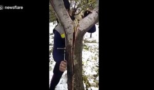 Un homme répare un arbre avec un boulon