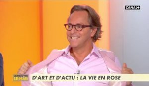 D'art et d'actu : la vie en rose - L'info du vrai du 15/11 - CANAL+