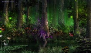 Peaceful Music "Enchanted Forest" Relaxing Music, Forest Music, Instrumental Music - 4K !