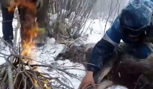 Des chasseurs sauvent un cerf coincé dans une rivière glacée en Sibérie