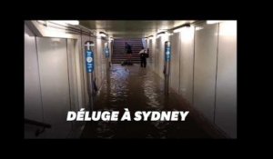 Sydney paralysée après "la pluie du siècle"