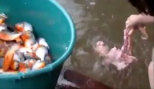 Sa technique pour pecher des piranhas est incroyable et très efficace