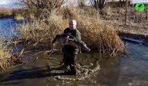 Ils sauvent un alligator piégé dans l'eau glacée