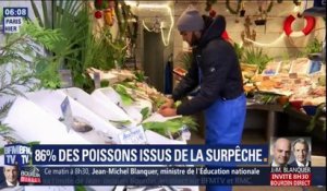 86% des poissons vendus en grande surface proviennent de pêche non durable, selon l'UFC-Que Choisir