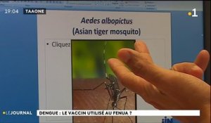 Dengue : le vaccin autorisé au fenua