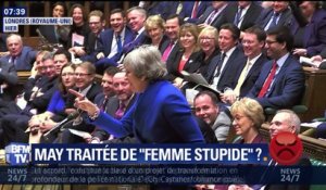 Theresa May traitée de "femme stupide" ?