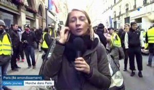 "Gilets jaunes" : marche bloquée à Paris