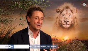 L'incroyable histoire du film "Mia et le lion blanc" où une jeune actrice a développé un lien indéfinissable avec le lion - Regardez