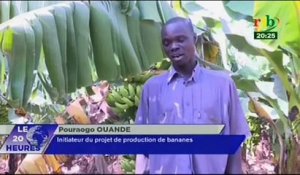 RTB - La culture de la banane est possible au Burkina Faso dans la région du nord