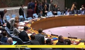 RDC : le Conseil de sécurité de l'ONU patiente
