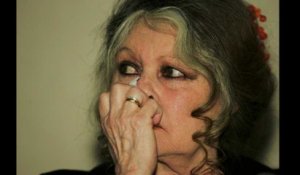 Municipales 2020 : Brigitte Bardot prête à se lancer ?