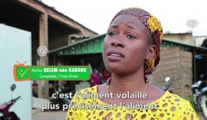 Burkina Faso : FASO GRAIN, le meilleur ami des éleveurs