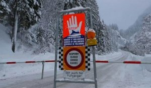 Chutes de neige : l'Autriche fait face à une série d'avalanches