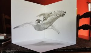 Drawing illusion 3D Anamorphique - Baleine