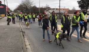 Acte IX de la mobilisation des gilets jaunes avec une marche dans les rues de la commune