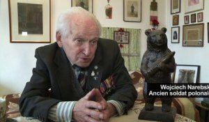 Un vrai "ours soldat", héros polonais de la 2e Guerre mondiale