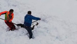 Autriche : un chamois enseveli sous près d'un mètre de neige sauvé de justesse par des cheminots