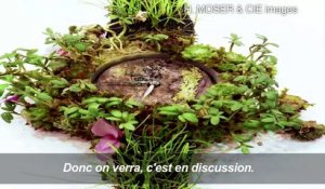 'Mère Nature', montre végétale présentée à Genève
