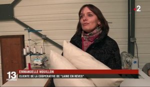 Made in France : le retour du matelas en laine