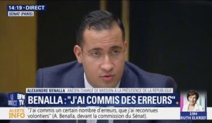Alexandre Benalla devant le Sénat: "Je ne vous ai pas menti"