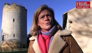 VIDEO. Pour sauver le château de Montreuil-Bonnin (86) des propriétaires en appellent au mécénat