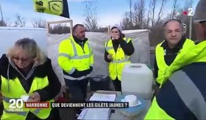 Gilets Jaunes à Narbonne Le Rejet Des Politiques