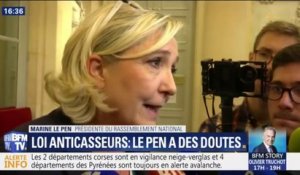 Marine Le Pen sur la loi anti-casseurs: "À chaque fois, on vote des textes supplémentaires mais qui ne sont jamais appliqués"