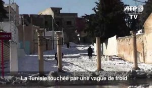 Vague de froid et neige en Tunisie, deux morts