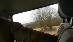 Un militaire belge chute d'une camionnette pendant un exercice