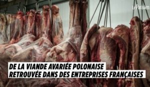 Près de 800 kg de viande avariée polonaise retrouvés dans des entreprises françaises