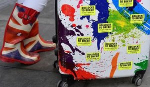 Brexit : les 27 accordent aux Britanniques la permission de voyager sans visa