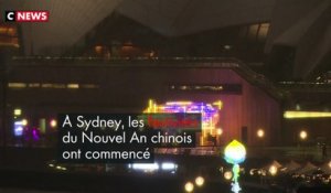 Sydney : l'Australie fête l'année du cochon