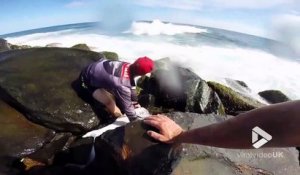 Des touristes sauvent un énorme poisson échoué dans les rochers !