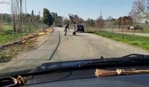 Vidéo émouvante d'un chien courant après la voiture de son maître qui vient de l'abandonner