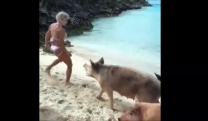 Cette top model Instagram se fait mordre aux fesses par un cochon
