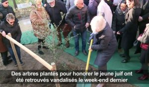 Un arbre planté à Paris en hommage à Ilan Halimi