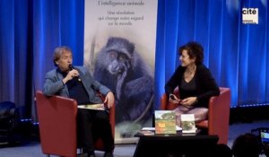 Conférence de Didier Van Cauwelaert : Et si tu étais une abeille?