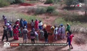 Sénégal : des techniques ancestrales permettent le retour de l'agriculture