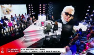 Le monde de Macron: Mort de Karl Lagerfeld, sa chatte Choupette déjà riche à millions – 20/02