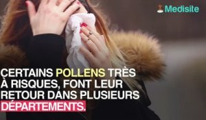 Allergie :  11 départements en alerte rouge