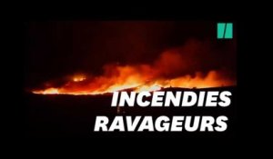 En Corse, des incendies ont ravagé Calenzana et le sud de l'île de Beauté