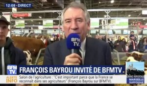 "Hijab de running": François Bayrou estime que "la société française refuse qu'on couvre le corps humain à l'excès"