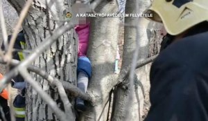 Ces pompiers hongrois libèrent une fillette coincée dans un arbre grâce à une scie