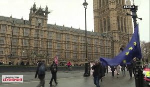 Brexit : vers un second référendum ? - L'info du vrai du 26/02 - CANAL+