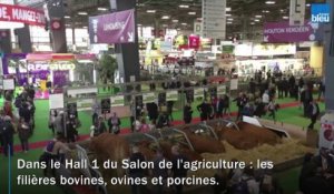La région Nouvelle-Aquitaine s'expose au Salon de l'agriculture