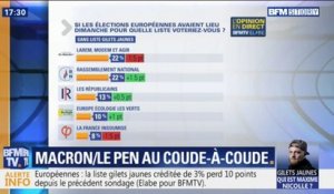 Européennes: LaREM et le RN au coude-à-coude à 22% d'intentions de vote selon un sondage BFMTV